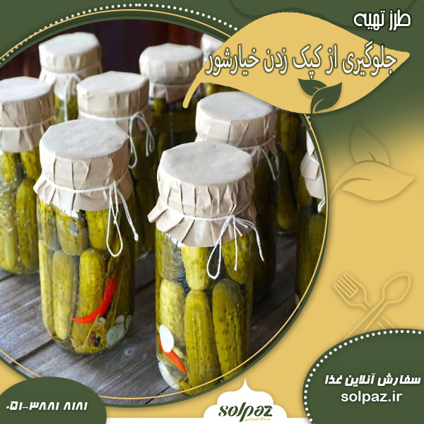 جلوگیری از کپک زدن خیارشور