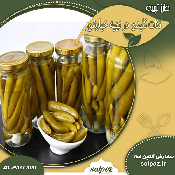 نکات کلیدی در تهیه خیارشور