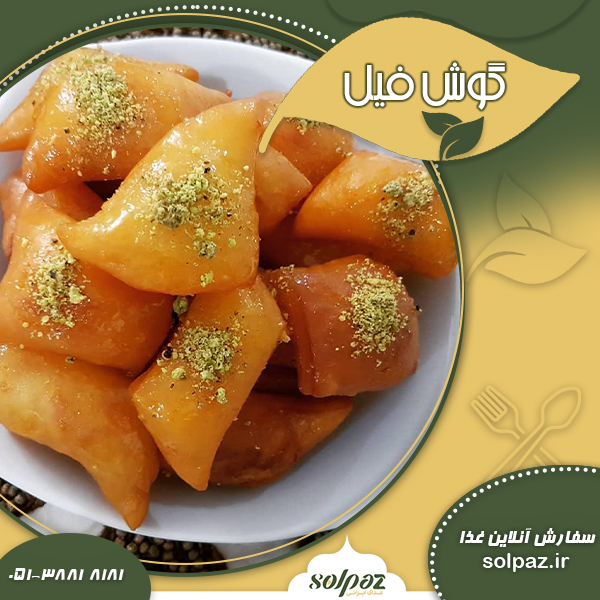 &nbsp;گوش فیل
